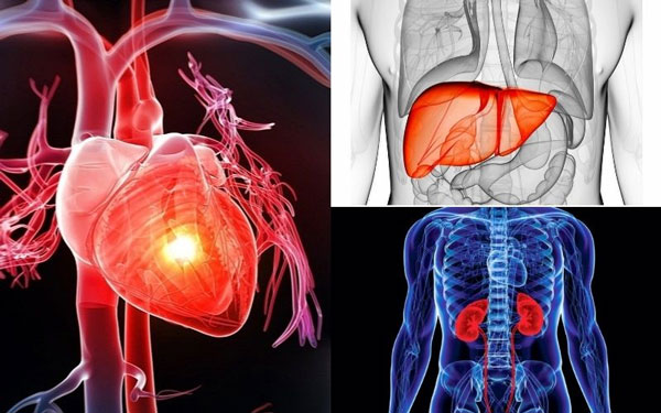 Viêm phổi nếu không điều trị có thể ảnh hưởng trực tiếp đến tim, gan, thận